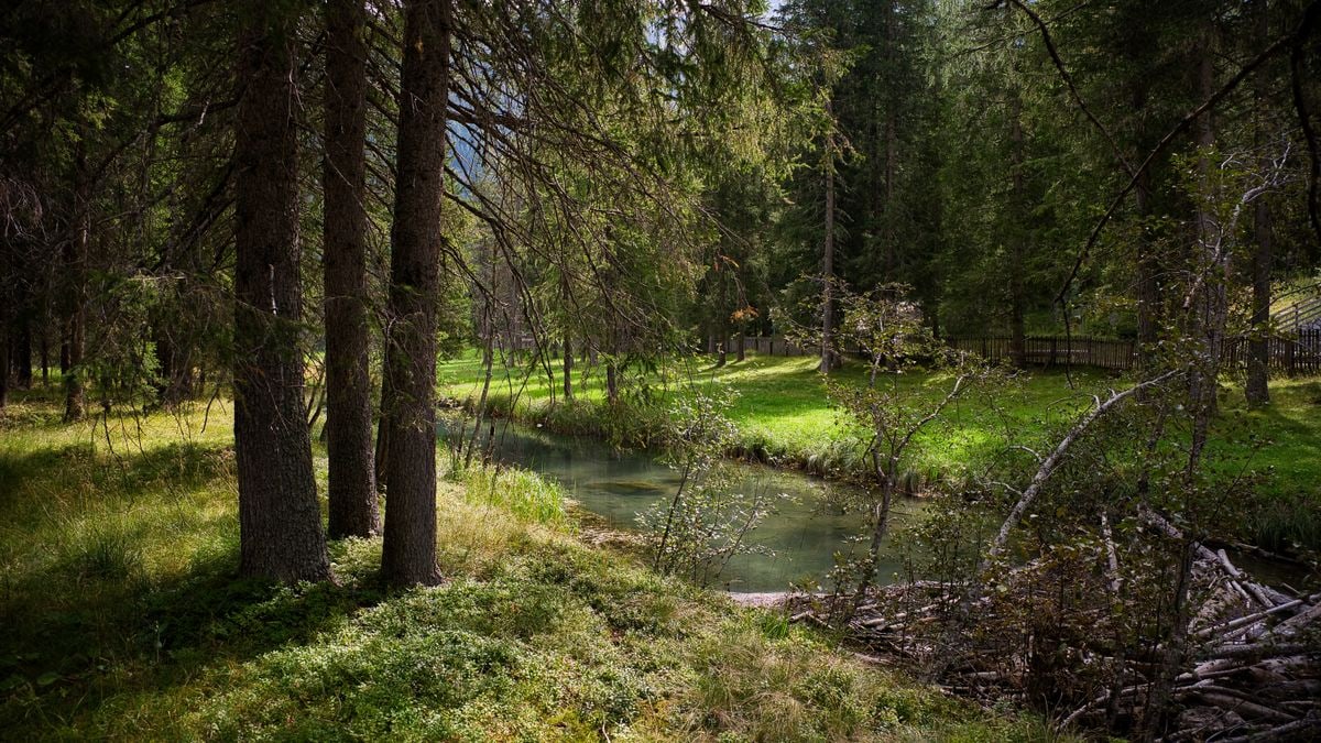 Vivere in Armonia con la Natura